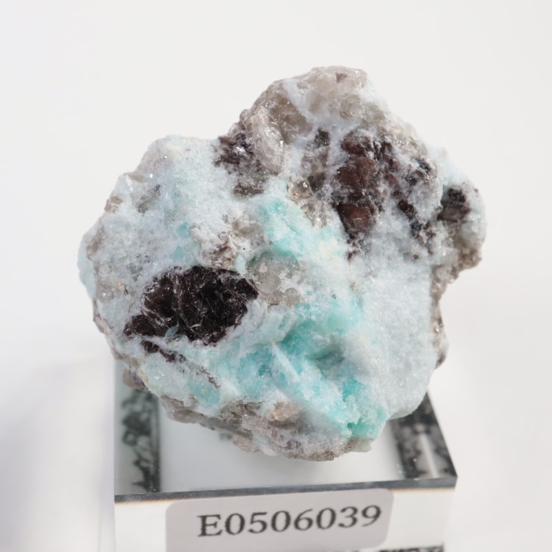 �ޥ��������뻺�����ޥ��ʥ��ȡ�����