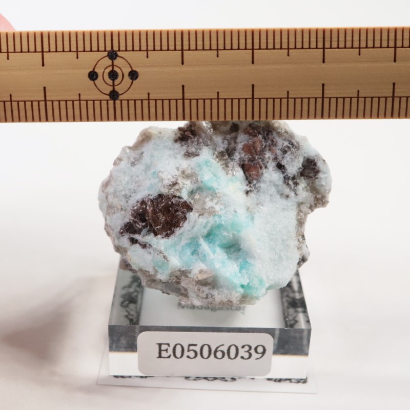 �ޥ��������뻺�����ޥ��ʥ��ȡ�����