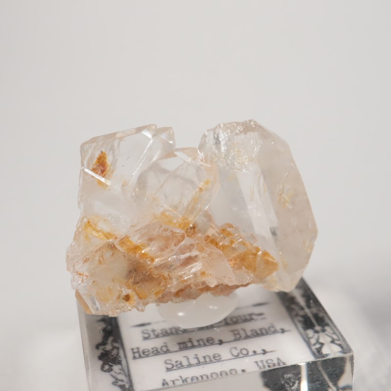 Stand-on-Your-Head�ۻ����徽