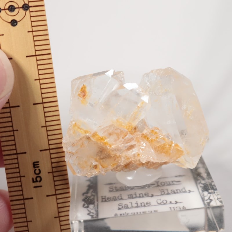 Stand-on-Your-Head�ۻ����徽