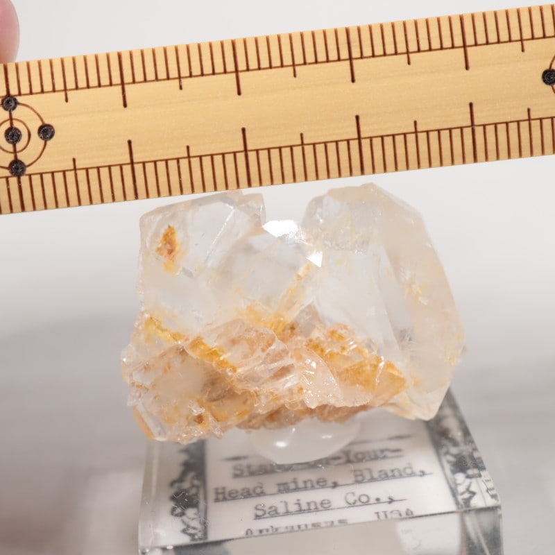 Stand-on-Your-Head�ۻ����徽