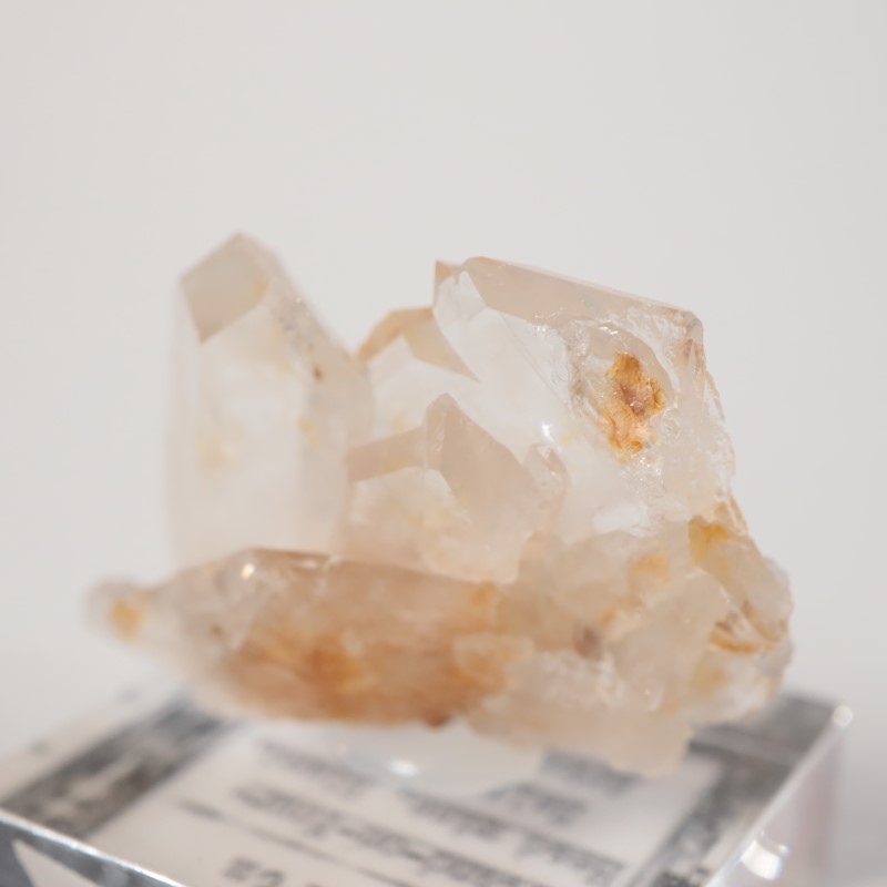 Stand-on-Your-Head�ۻ����徽