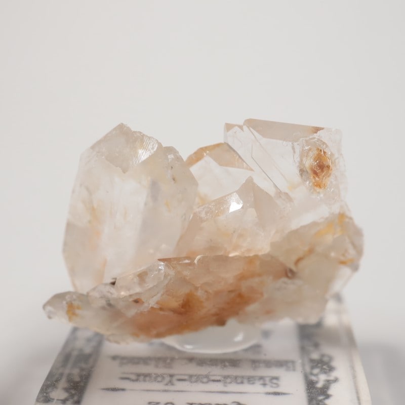 Stand-on-Your-Head�ۻ����徽