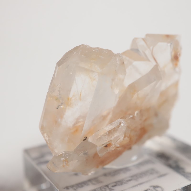 Stand-on-Your-Head�ۻ����徽