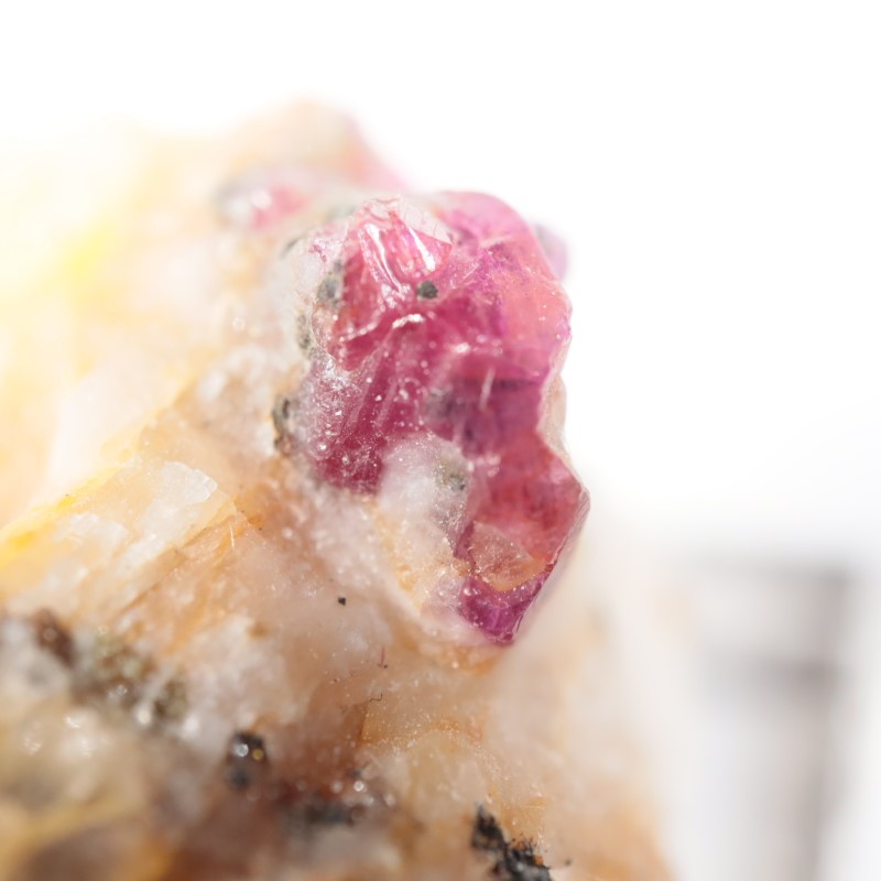 �ѥ������� ��ӡ�