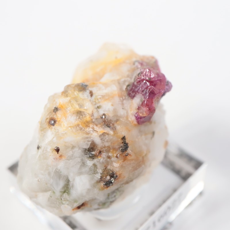 �ѥ������� ��ӡ�