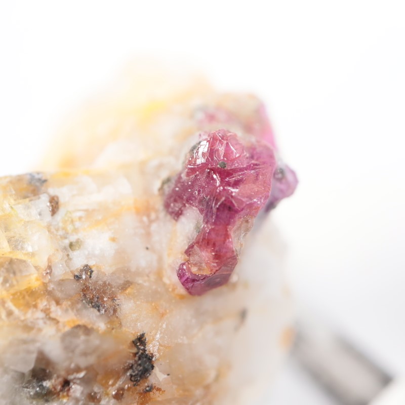 �ѥ������� ��ӡ�