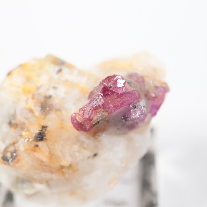 �ѥ������� ��ӡ�