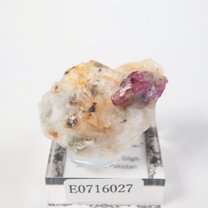 �ѥ������� ��ӡ�