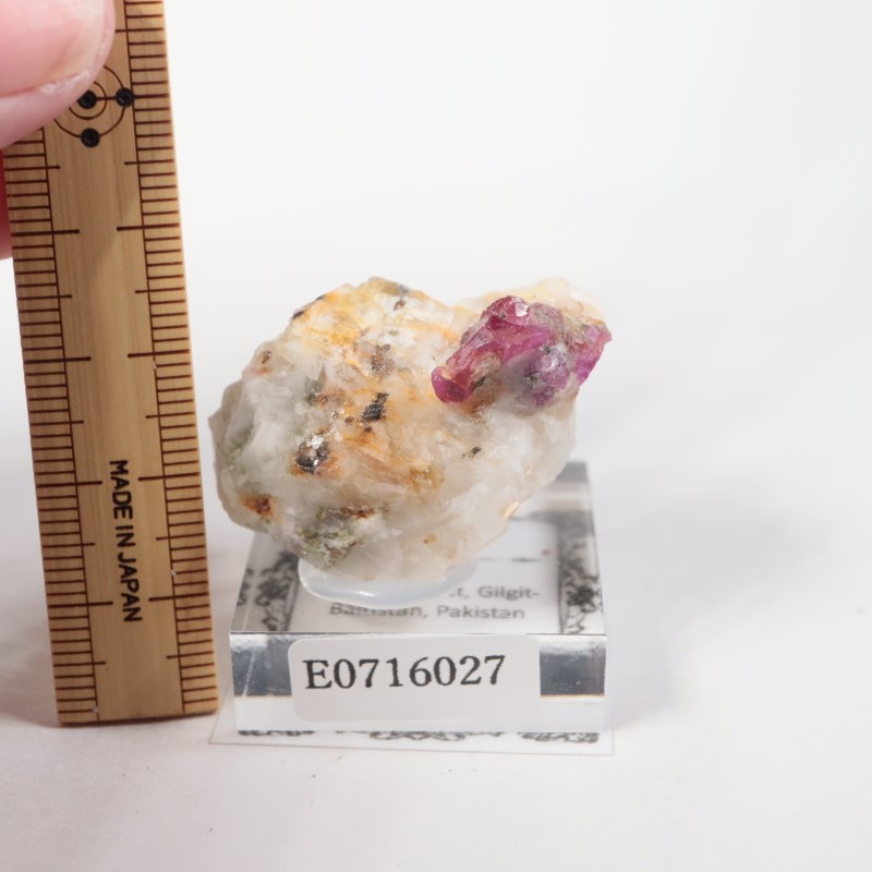 �ѥ������� ��ӡ�