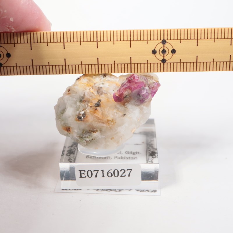 �ѥ������� ��ӡ�