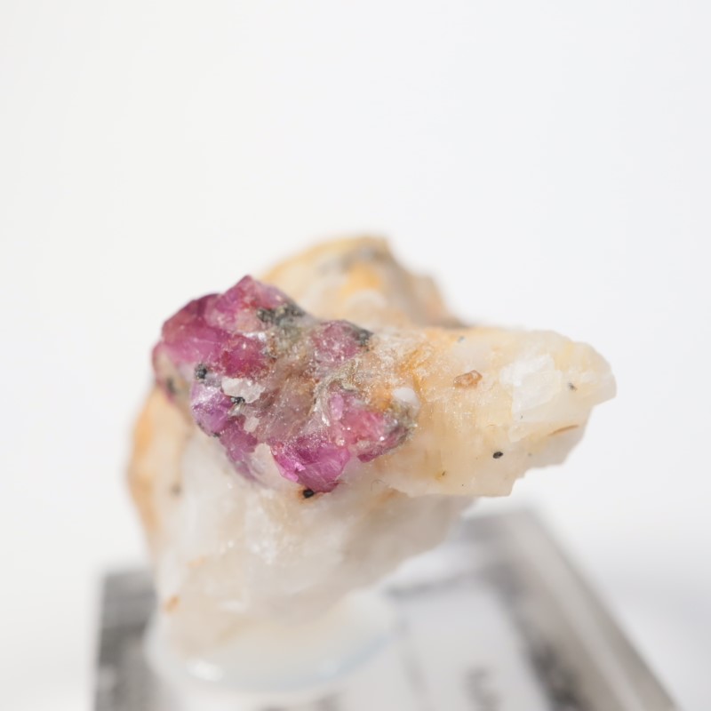 �ѥ������� ��ӡ�