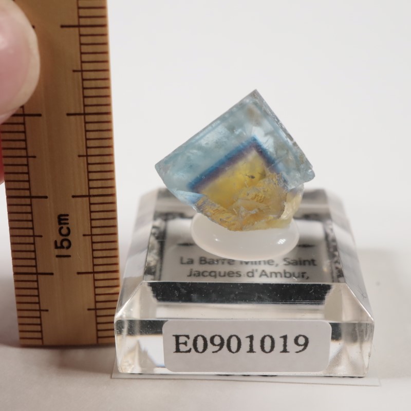 �ե�󥹻� �ե����饤��