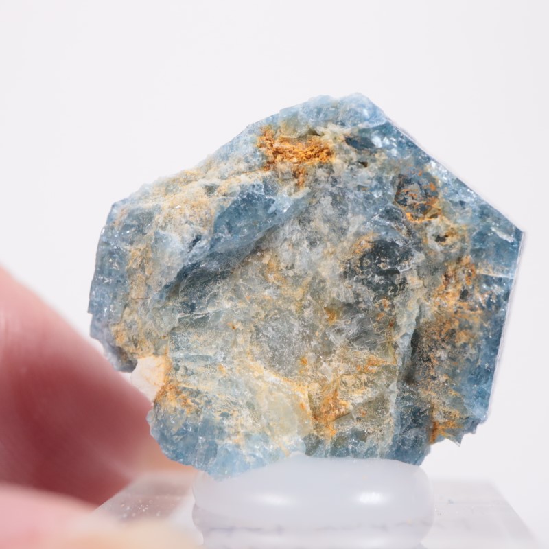 �ѥ������󻺡��֥롼�٥��