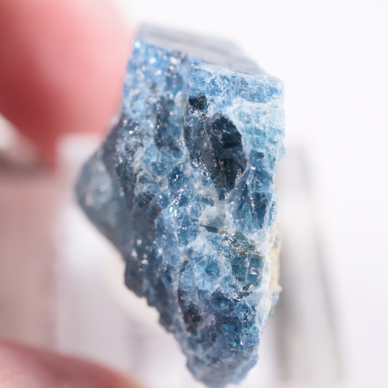 �ѥ������󻺡��֥롼�٥��