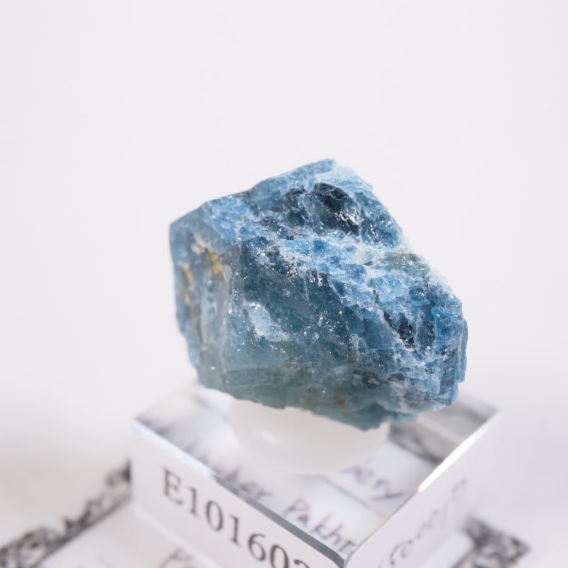 �ѥ������󻺡��֥롼�٥��