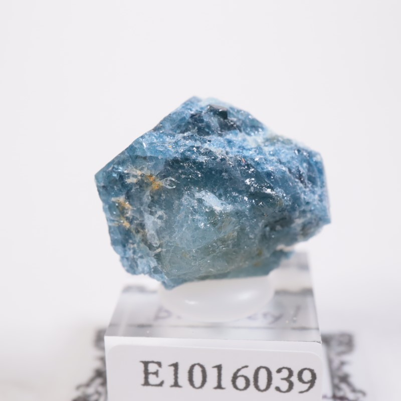 �ѥ������󻺡��֥롼�٥��