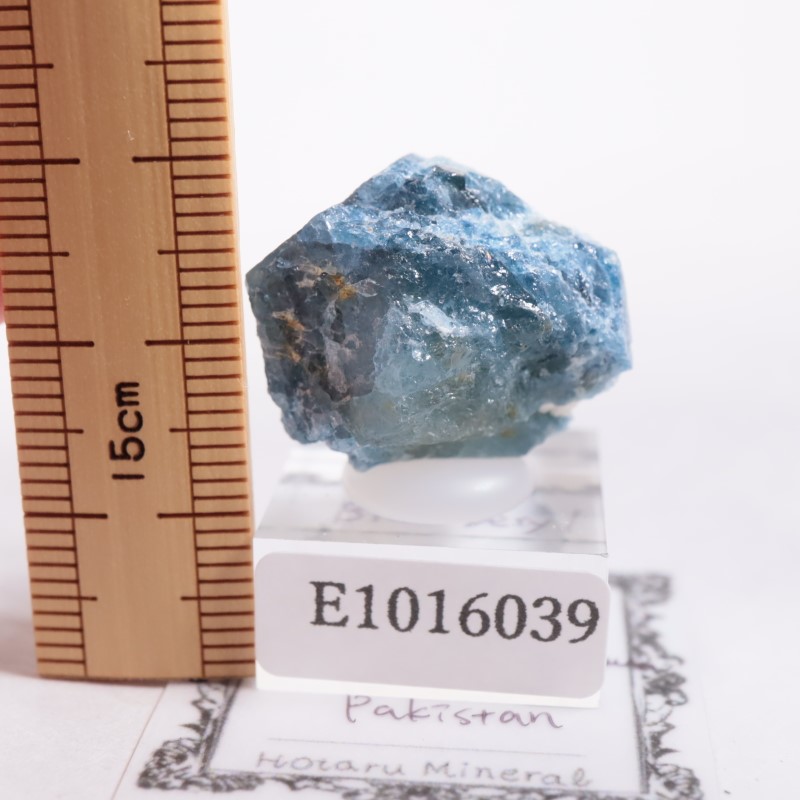 �ѥ������󻺡��֥롼�٥��