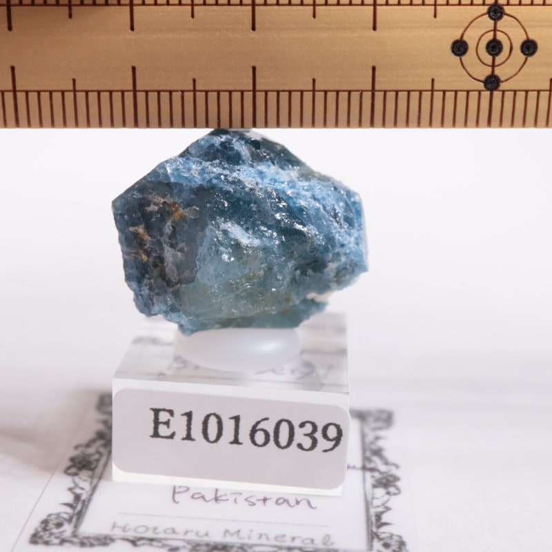 �ѥ������󻺡��֥롼�٥��