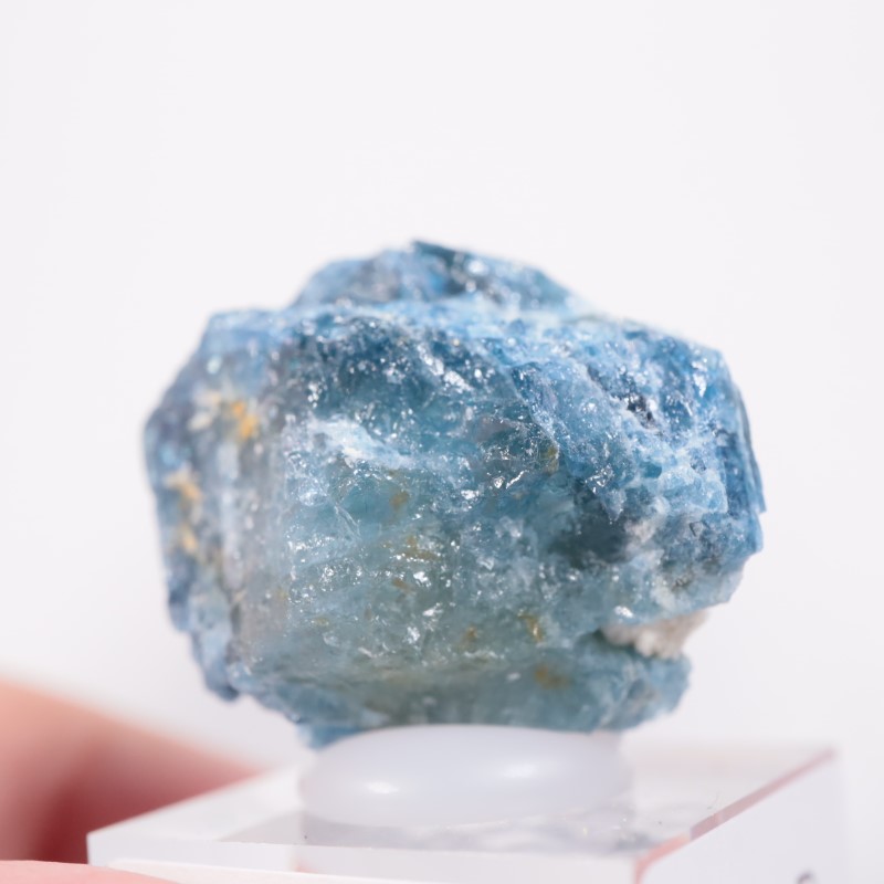 �ѥ������󻺡��֥롼�٥��