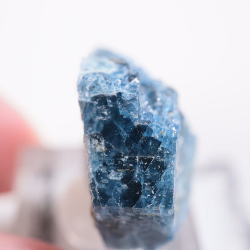 �ѥ������󻺡��֥롼�٥��