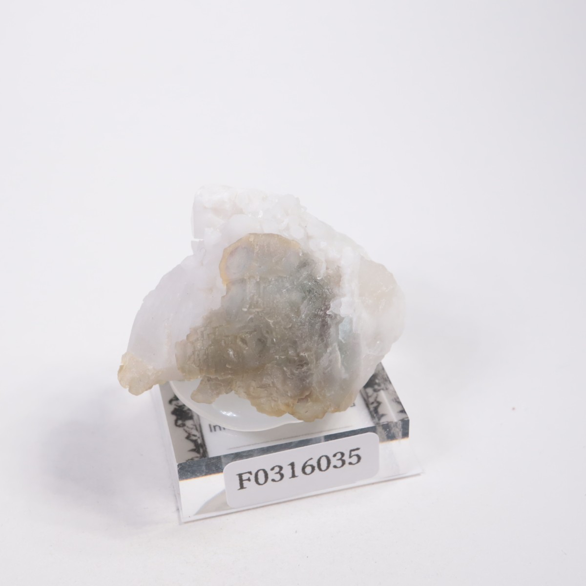 ���󥴥뻺 �ե����饤��