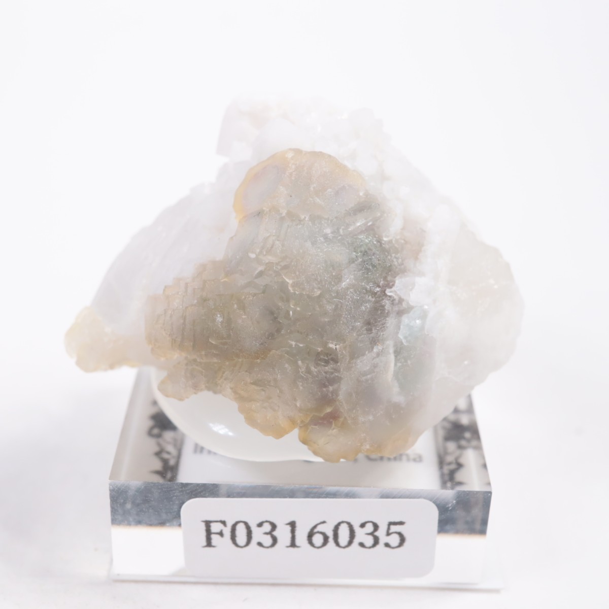 ���󥴥뻺 �ե����饤��