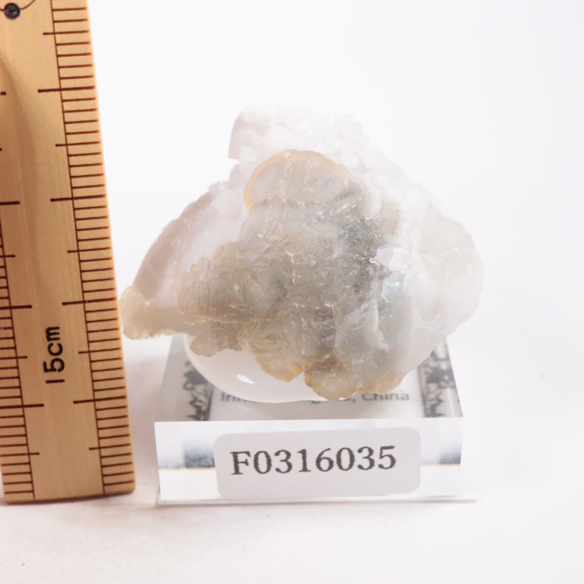 ���󥴥뻺 �ե����饤��