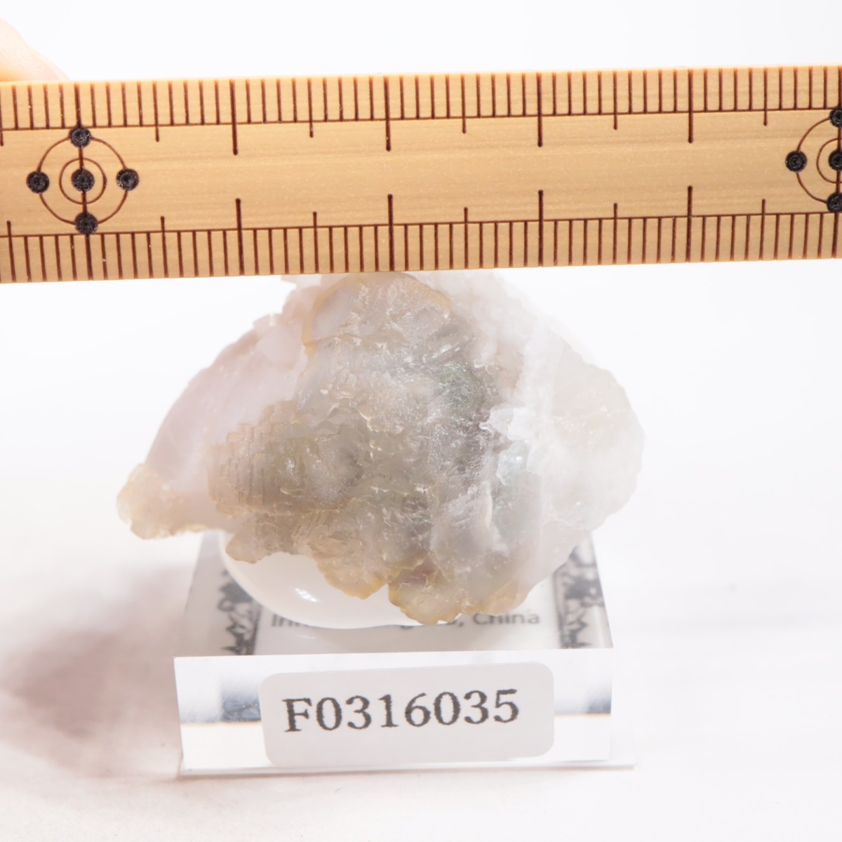 ���󥴥뻺 �ե����饤��