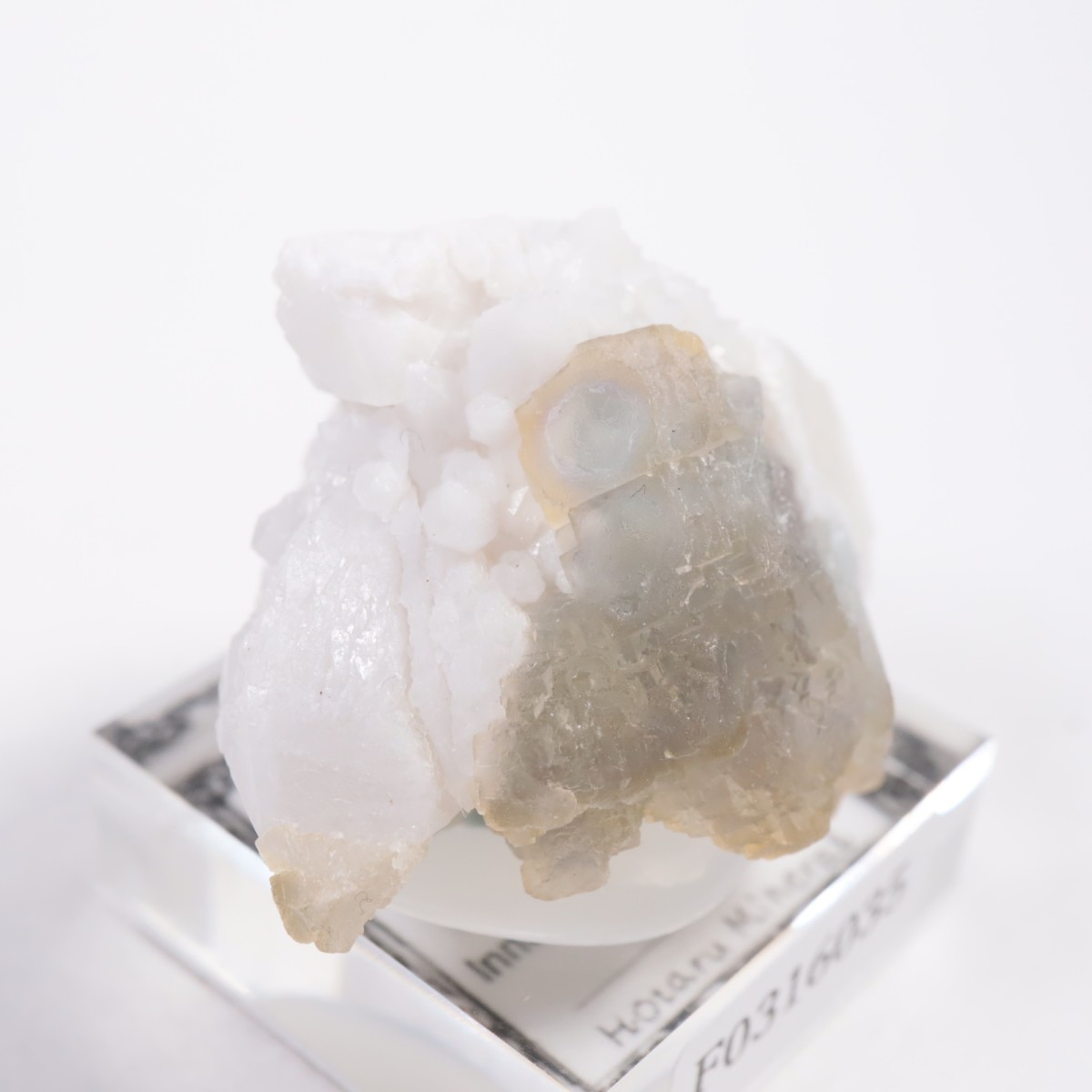 ���󥴥뻺 �ե����饤��