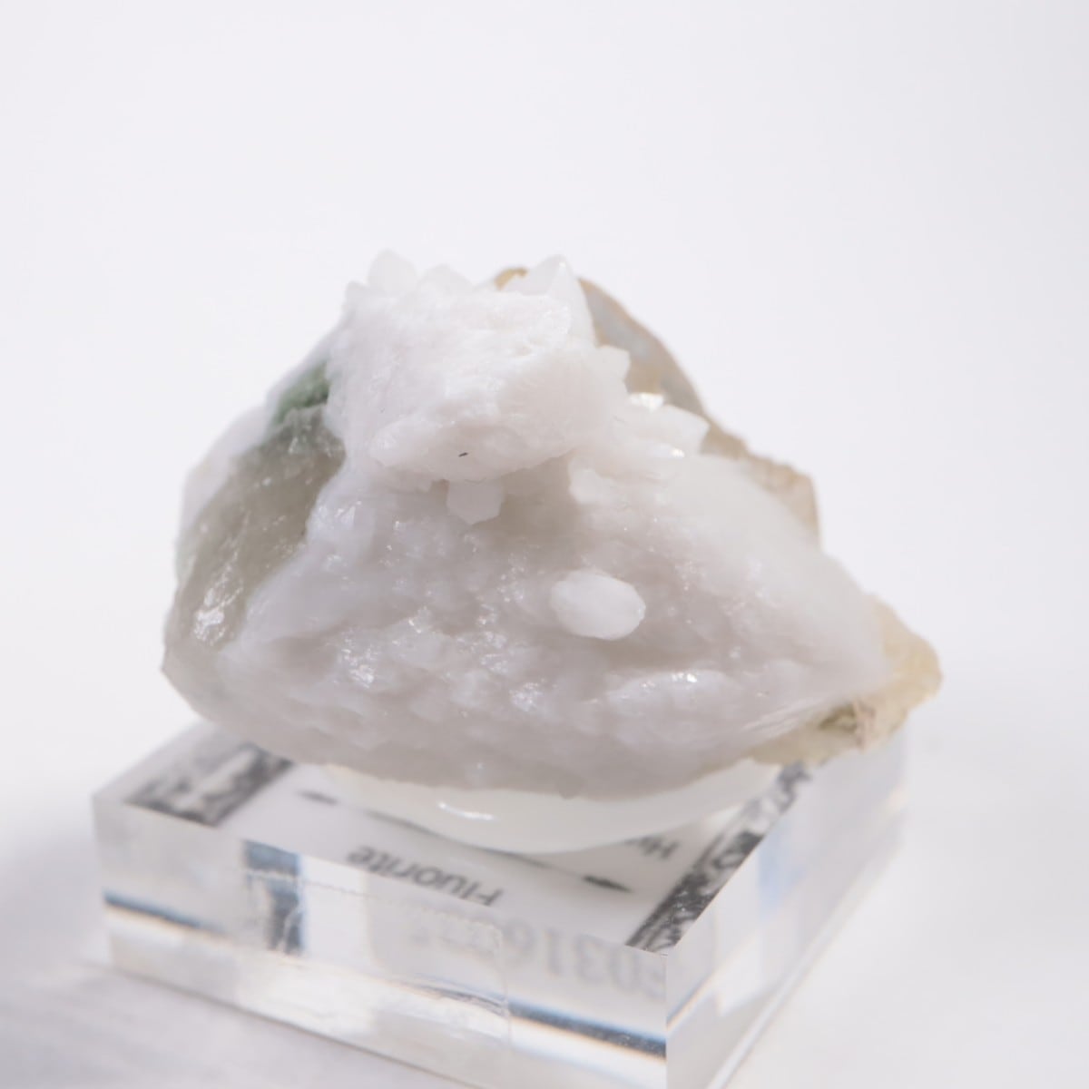 ���󥴥뻺 �ե����饤��