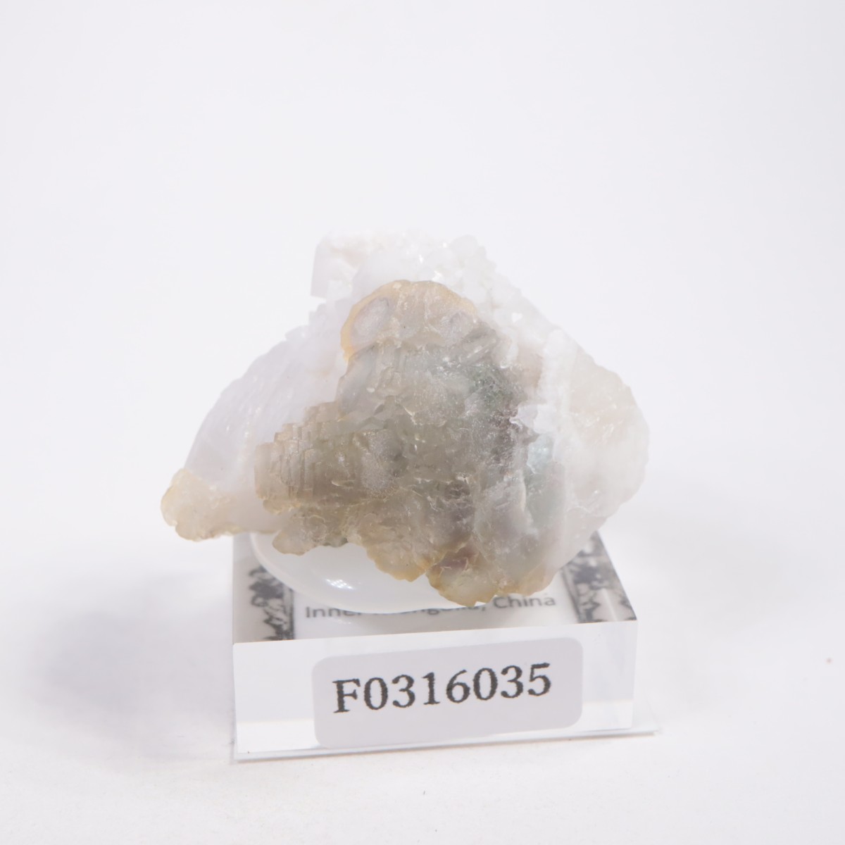 ���󥴥뻺 �ե����饤��