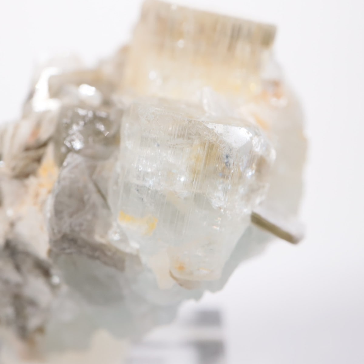 �ѥ������� �������ޥ��