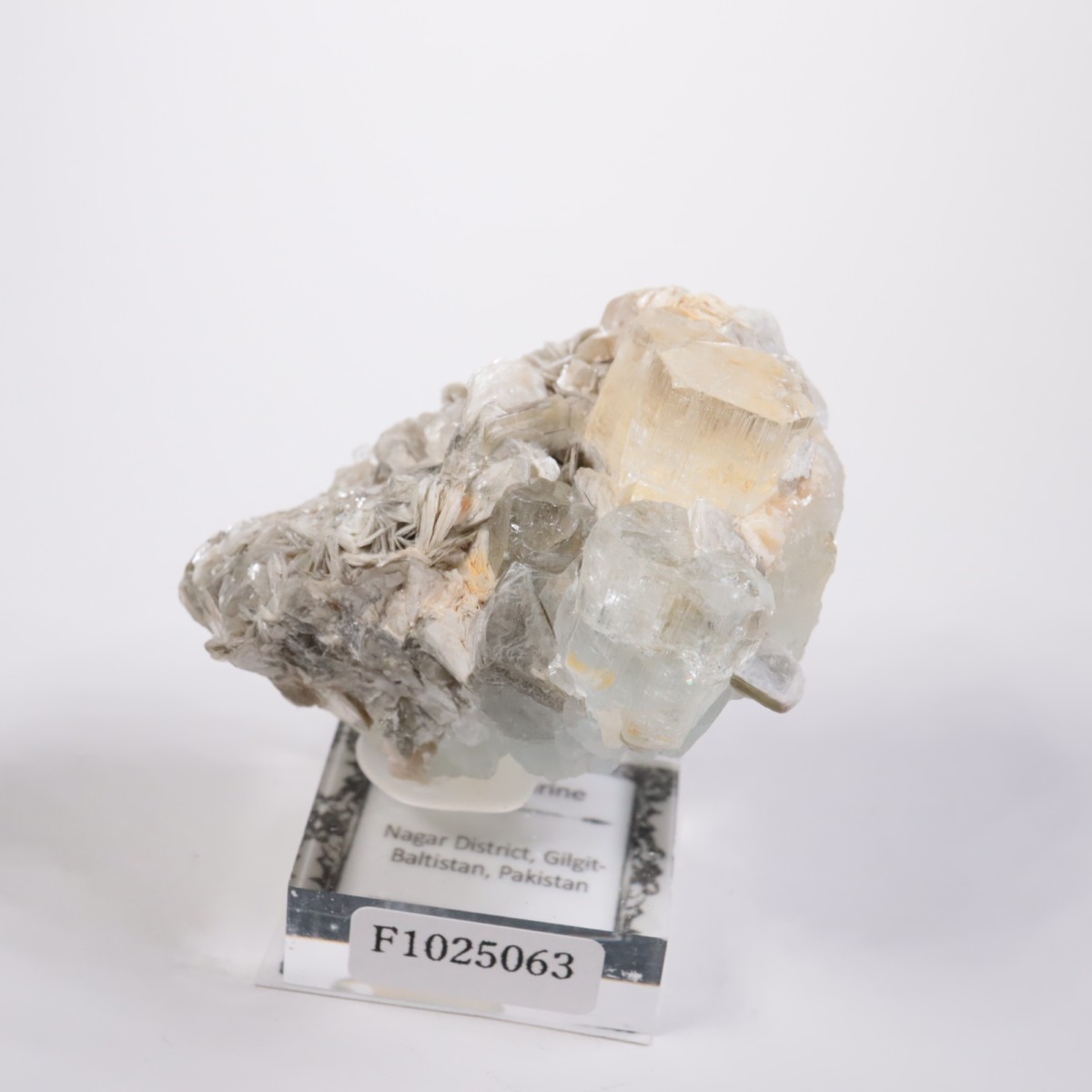 �ѥ������� �������ޥ��