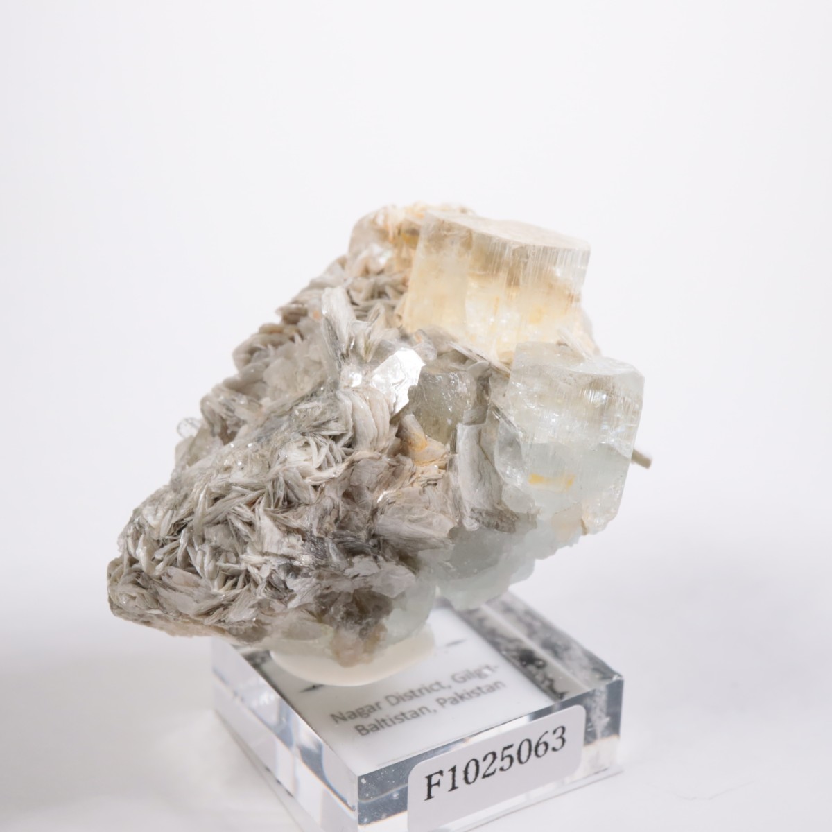 �ѥ������� �������ޥ��