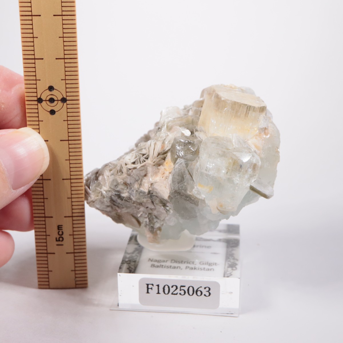 �ѥ������� �������ޥ��