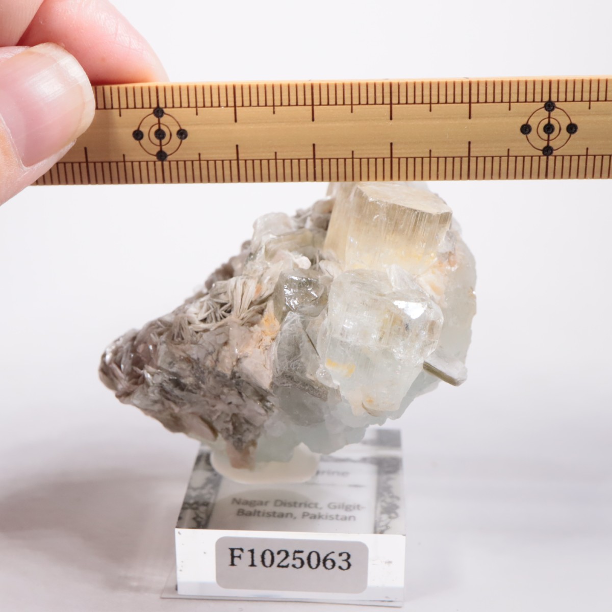 �ѥ������� �������ޥ��