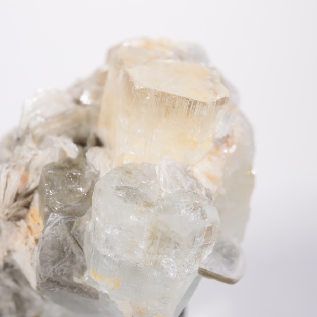 �ѥ������� �������ޥ��