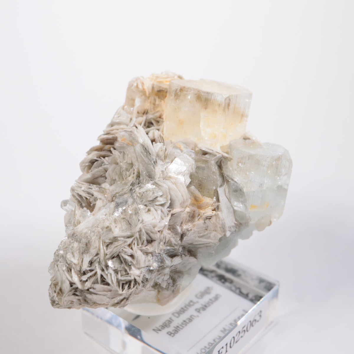 �ѥ������� �������ޥ��