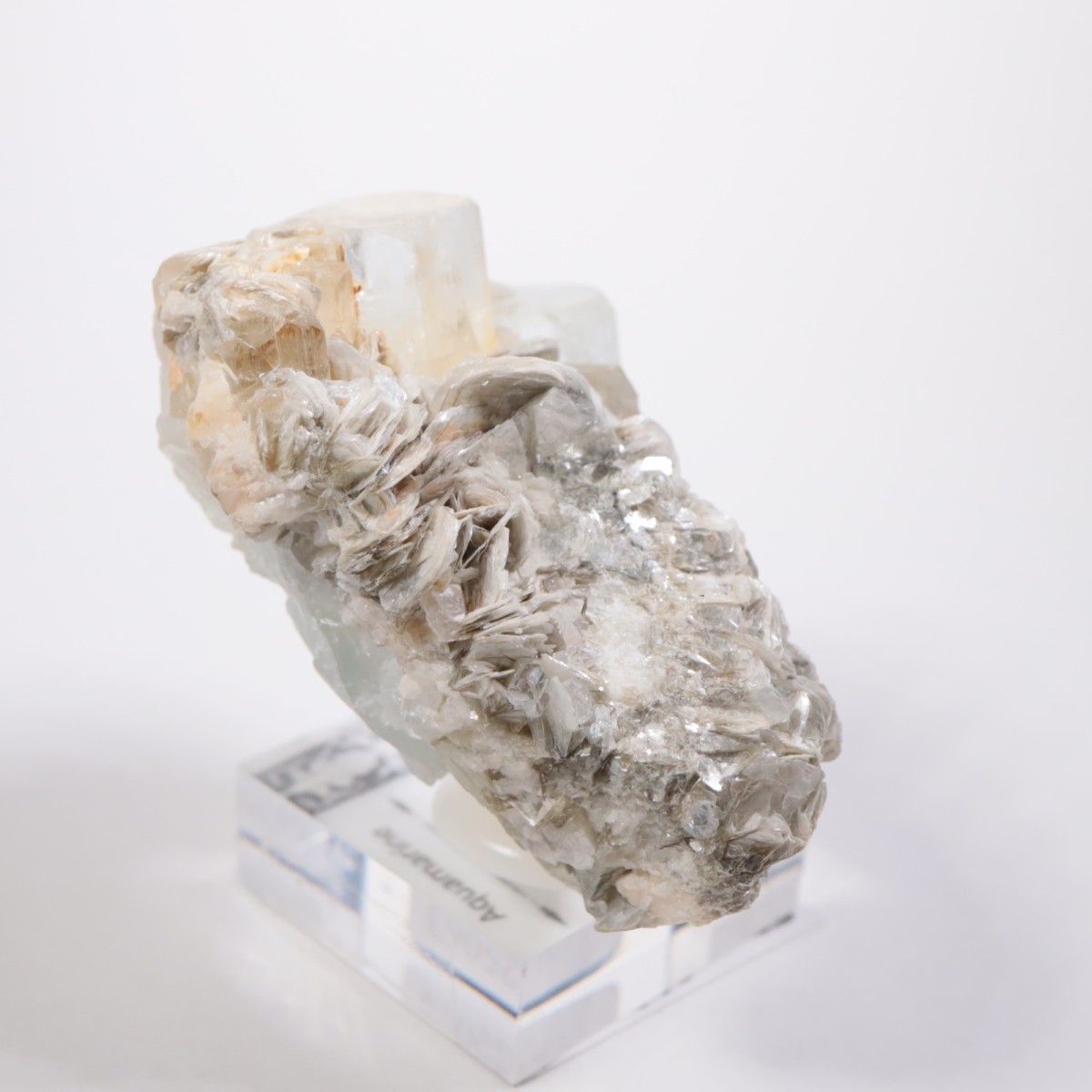 �ѥ������� �������ޥ��