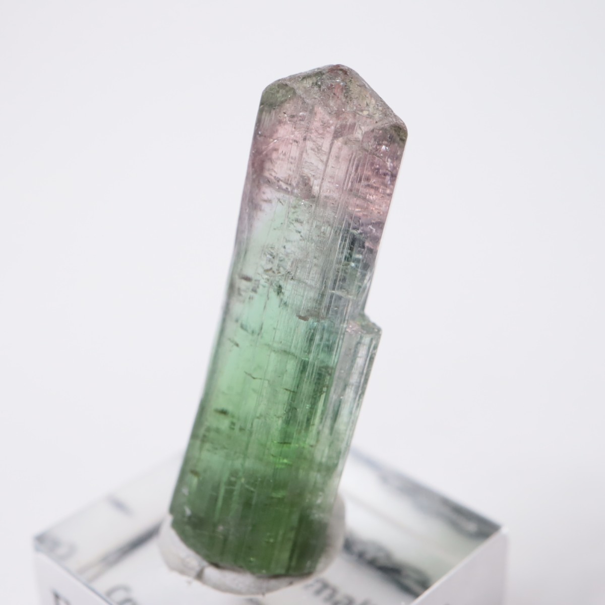 Cruzeiro�ۻ� �ȥ�ޥ��