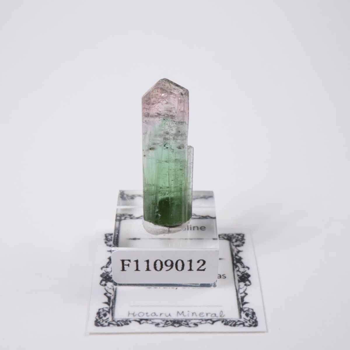 Cruzeiro�ۻ� �ȥ�ޥ��