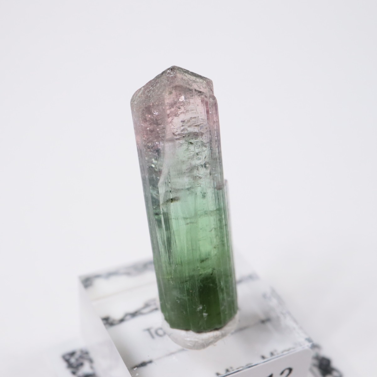 Cruzeiro�ۻ� �ȥ�ޥ��