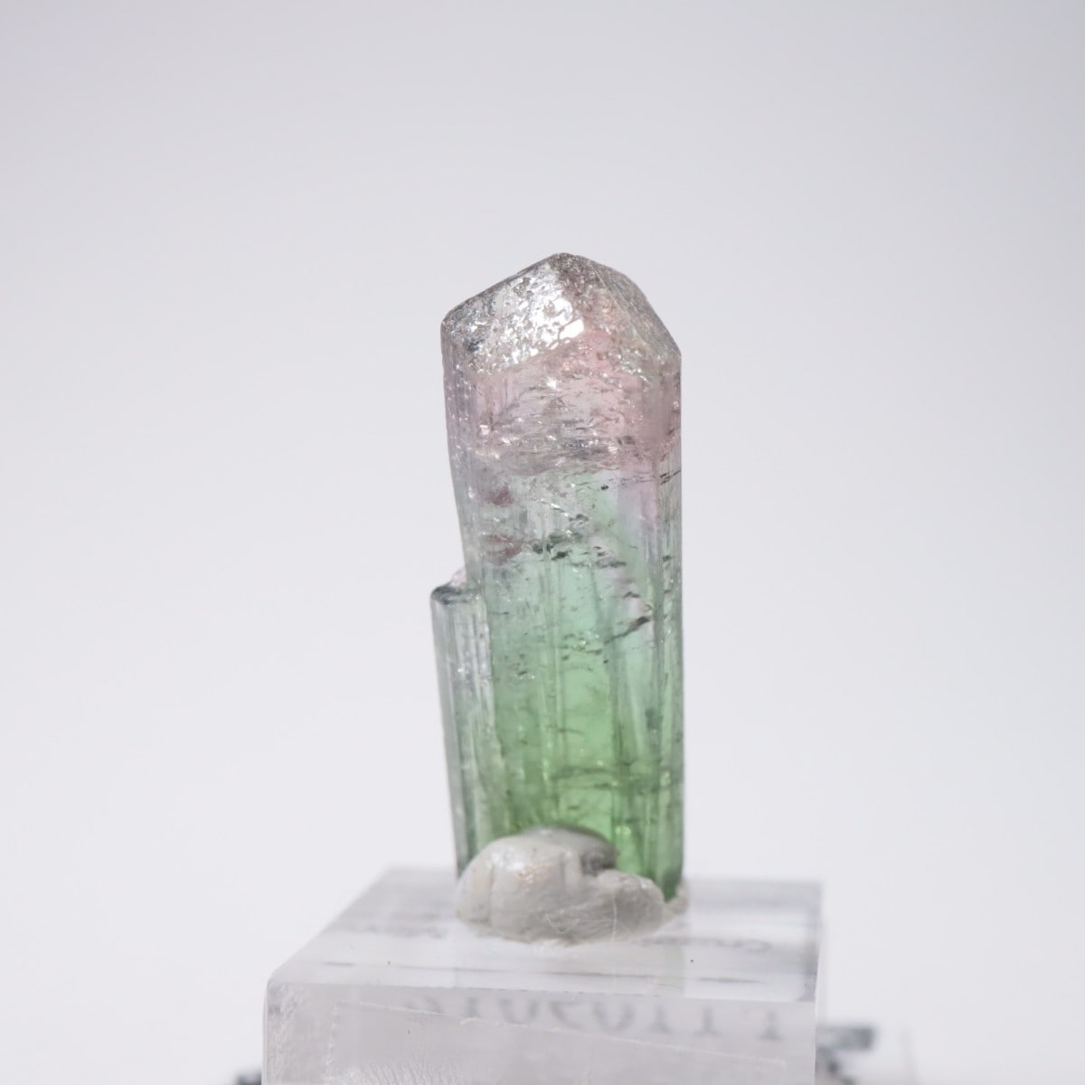 Cruzeiro�ۻ� �ȥ�ޥ��