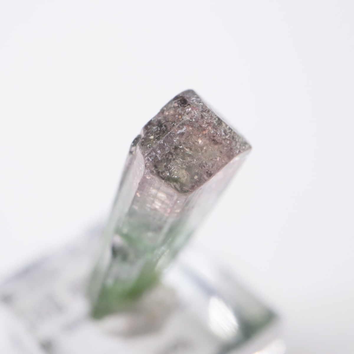 Cruzeiro�ۻ� �ȥ�ޥ��