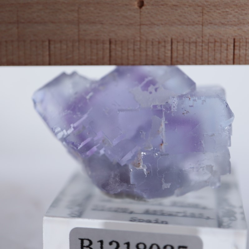 La Viesca鉱山産 フローライト | 鉱物標本,ハ行,フローライト/蛍