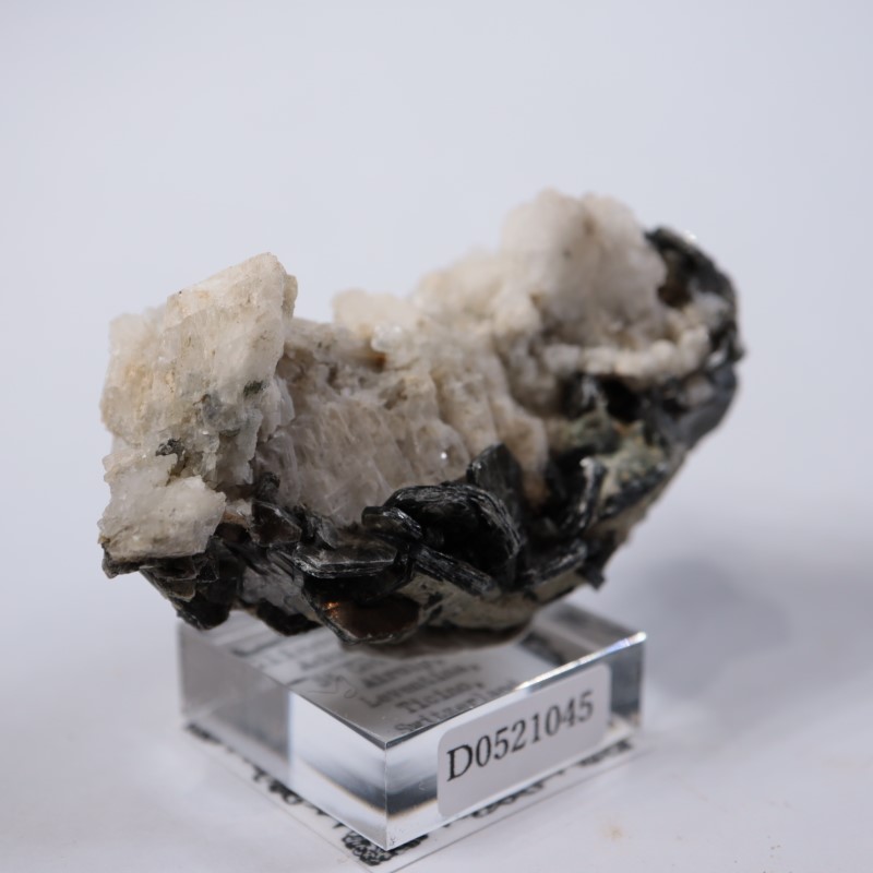 スイス産 雲母、氷長石 | 鉱物標本,ア行,雲母 | ほたるみねらる