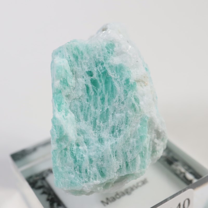 �ޥ��������뻺�����ޥ��ʥ��ȡ�����