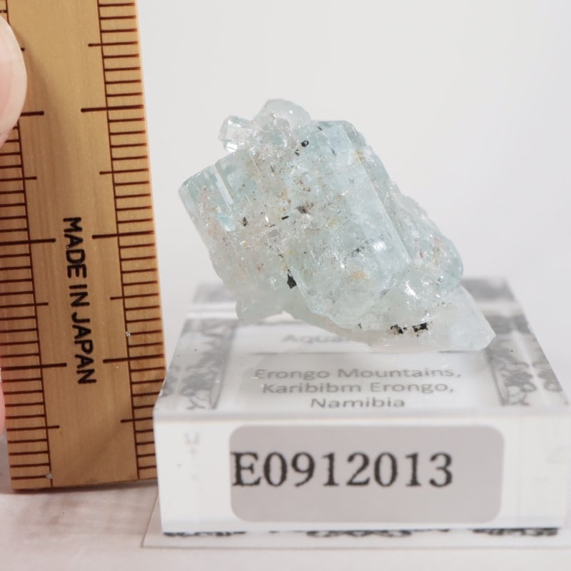 �����󥴹ۻ��� �������ޥ��