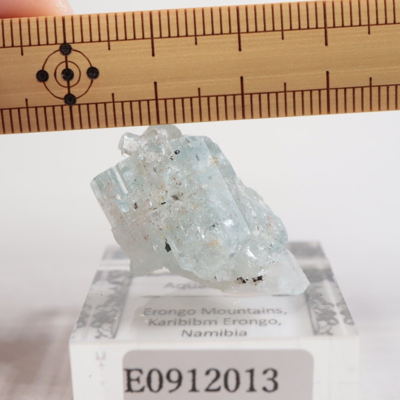 �����󥴹ۻ��� �������ޥ��